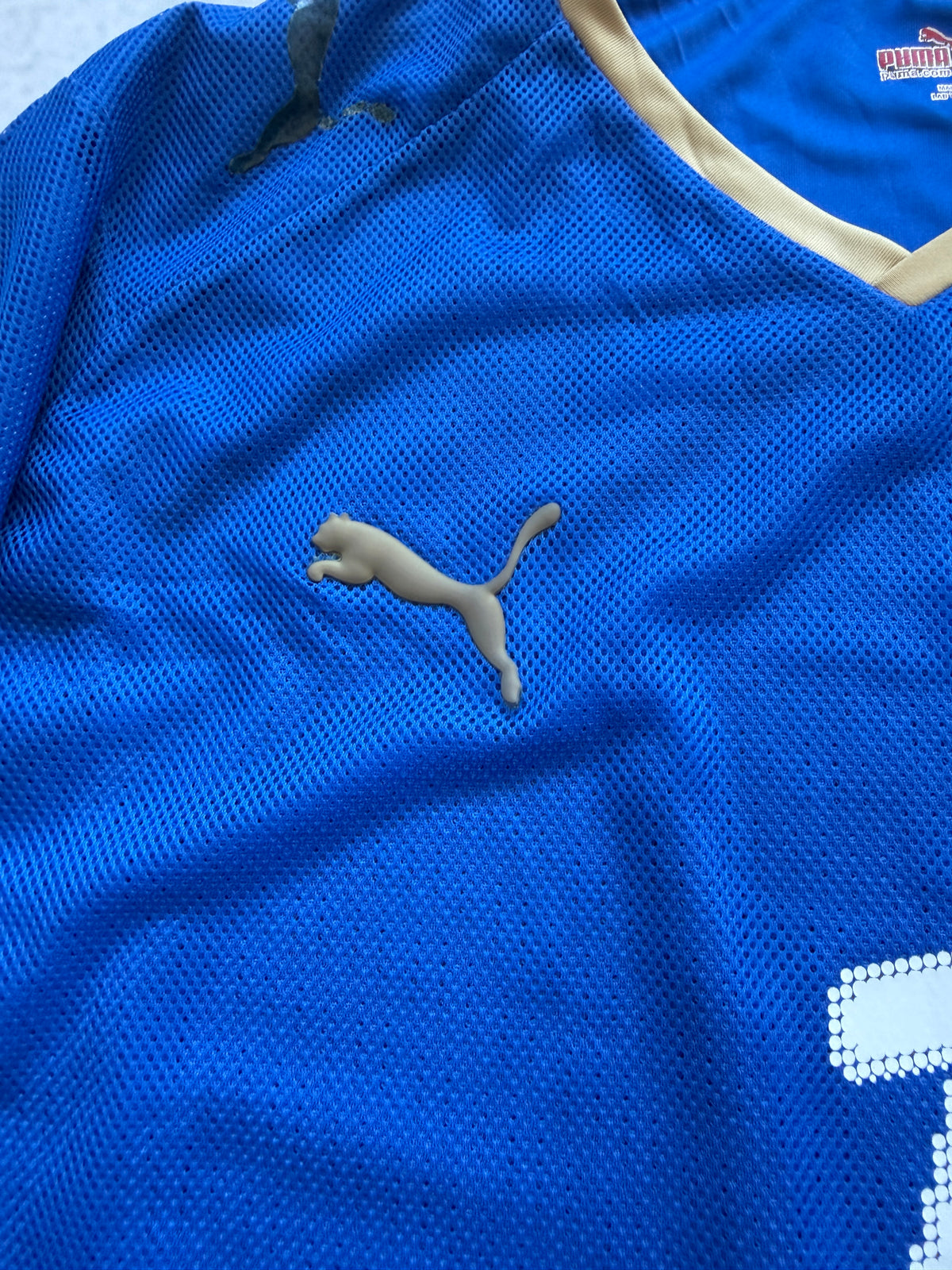 Italy National Team 2008-2009 Home Jersey — Del Piero #7 L
